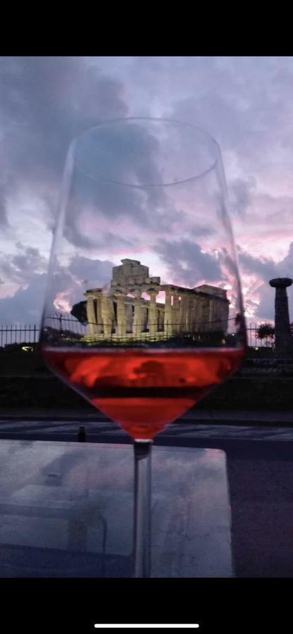 Villa Donatella パエストゥム エクステリア 写真